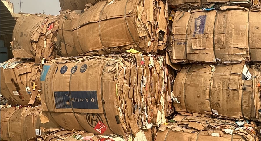 Reciclagem de Papelão: um ciclo que transforma o planeta e a sociedade